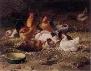 unknow artist Cocks 180 oil painting reproduction